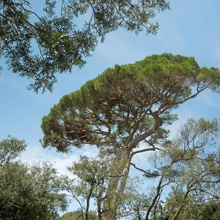 The Sense Experience - Preferred & Feriested Follonica