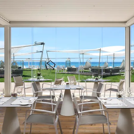 The Sense Experience - Preferred & Follonica