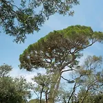 The Sense Experience - Preferred & Rezort Follonica